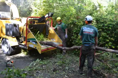 tree services Wrightsville